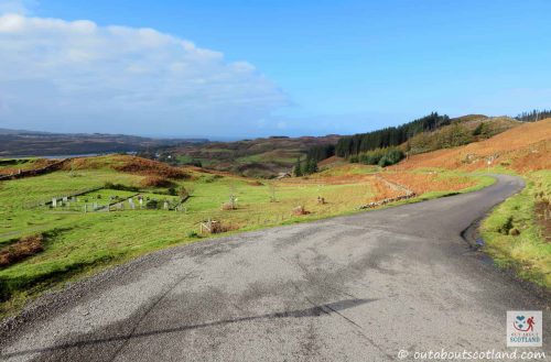 quinish-point-2-of-21